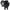 SPC Image