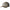 SPC Image