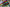 SPC Image