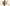 SPC Image